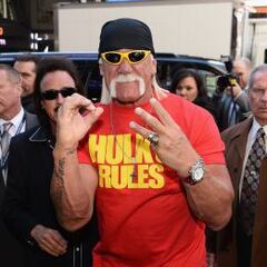 Hulk Hogan despedido de la WWE por comentarios racistas