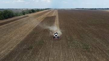 A drone view shows a combine harvesting sunflowers in a field in the Rostov Region, Russia September 3, 2025. REUTERS/Sergey Pivovarov