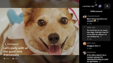 TikTok en la TV: Ya tiene version para Android TV