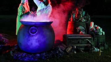 Walmart ofrece excelentes opciones de decoración de Halloween. Estas son algunas de nuestras mejores selecciones para tu fiesta.