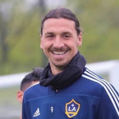 Zlatan Ibrahimovic keeps owning the MLS, breaking a new record