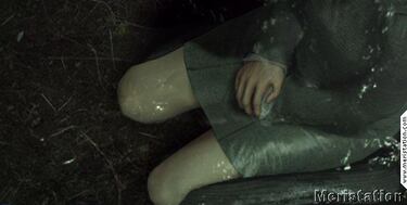 Detalles del mundo de Rule of Rose