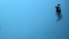 Hockey mom exposes corruption then faces threats and attacks: “This is what happens when you speak up”