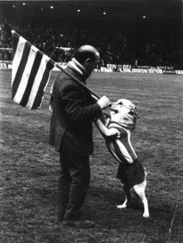 Los seguidores son el alma del fútbol, el jugador número doce. El fútbol desde sus comienzos despertó pasiones y arrastró masas. Un seguidor del Athletic con su perro. 