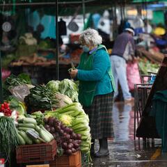 Bono Marzo 2023-2024: cómo consultar con RUT si cobro hoy, 11 de diciembre, los $120 mil pesos del Aporte Familiar Permanente