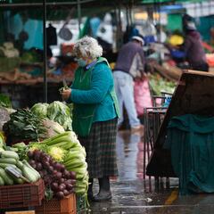 Bono Marzo 2023-2024: cómo consultar con RUT si cobro, 15 de enero, los $120 mil pesos del Aporte Familiar Permanente
