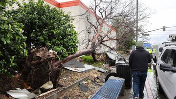 MONTEBELLO, CALIFORNIA - MARCH 22: A person walks past an uprooted tree after a possible rare tornado touched down and ripped up building roofs in a Los Angeles suburb on March 22, 2023 in Montebello, California. Another Pacific storm has been pounding California with heavy rain, high winds, and snow. (Photo by Mario Tama/Getty Images)