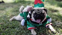 Bono Yanapay, Familiar y 600 soles | Link y cómo ver con cuenta DNI quién puede cobrarlo hoy 26 de diciembre