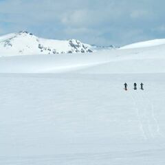 Bryan Iguch, Jeremy Jones y Travis Rice trabajan en un nuevo proyecto para TGR