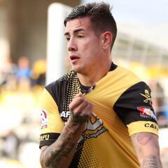 Las principales figuras en la gran campaña de Coquimbo