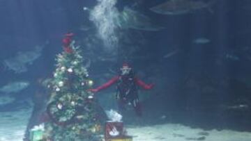 Mireia: "Este año no tengo miedo de enfrentarme a nadie"