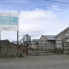 Rescatan desde una granja en Argentina a un chileno desaparecido hace 20 años: era tratado como esclavo