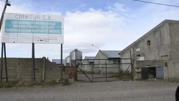 Rescatan desde una granja en Argentina a un chileno desaparecido hace 20 años: era tratado como esclavo