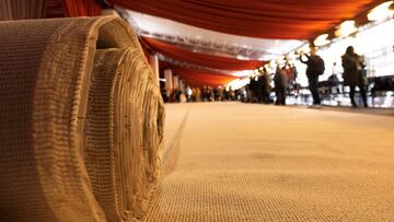 Alfombra oscars 2023