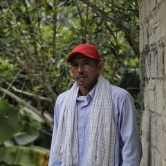 Ingreso Solidario: cuáles son las fechas de pago para el giro 19