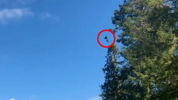 Un hombre salta desde un &aacute;rbol mientras despliega su paraca&iacute;das, con el cielo un poco nublado. 