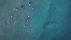 Surfistas, tiburón y peces en Bondi Beach, Australia, vistos desde el aire.