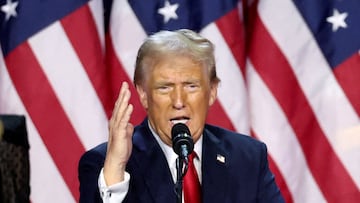 Donald Trump se lanza contra el gobernador Gavin Newsom y lo culpa de los incendios que han arrasado con el sur del estado de California.