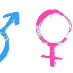 Cuestión de género en el deporte