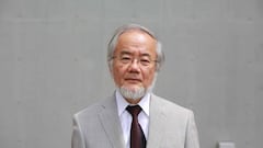 Yoshinori Ohsumi, Nobel de Medicina: “El cuerpo siempre repite un proceso de canibalismo”