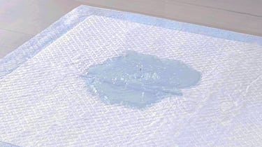 Mantén el suelo limpio con estos empapadores absorbentes para mascotas