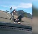 Ocurrió en Gran Canaria: brutal agresión de un conductor a un ciclista