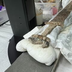 Arqueólogos encuentran una espada medieval de hace 1.500 años en una tumba oculta: “Es un objeto de élite”