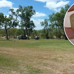 Una familia va de vacaciones a un camping y se topa con una piedra de incalculable valor: “Lo que alguien esté dispuesto a pagar”