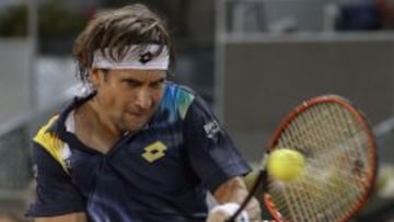 David Ferrer