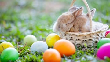 Muchos padres buscan alternativas más económicas a la tradicional costumbre de teñir huevos de Pascua.