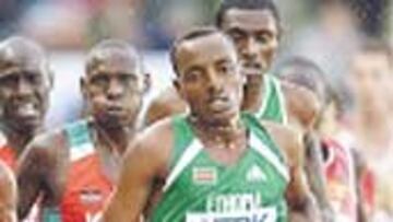 Tariku Bekele, en las series.