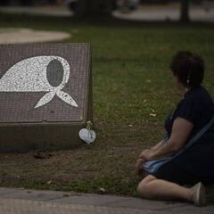 Muerte de Hebe de Bonafini: cuántos días de duelo ha decretado el gobierno y cuándo será el funeral