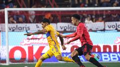 Tijuana vs Tigres en vivo: Liga MX, Apertura 2023 hoy en directo