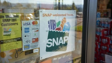 Conoce las fechas exactas en las que se depositan en las tarjetas EBT los beneficios SNAP en Florida en noviembre de este 2023.