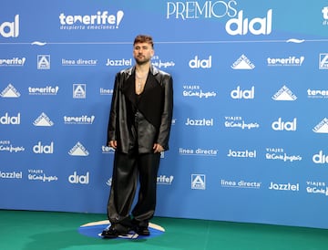 La alfombra verde de los Premios Dial 2025