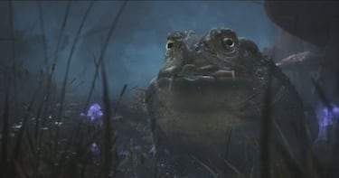 Fable utilizará el motor gráfico de Forza Horizon y Motorsport