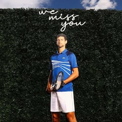 El tenis sigue sin Djokovic