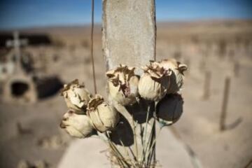 Detalle de una tumba.