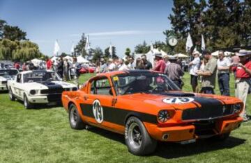 Ford, Shelby Mustang GT 350.