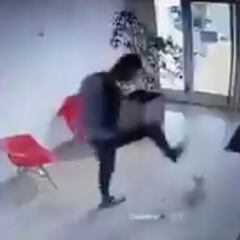 VIDEO: Brutal ataque a patadas de un árbitro a un perro caniche en La Plata