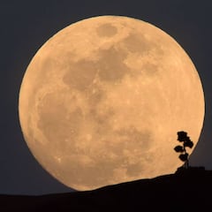 Eclipse lunar parcial octubre 2023: a qué hora es, cuándo se produce y cómo ver el último eclipse de Luna