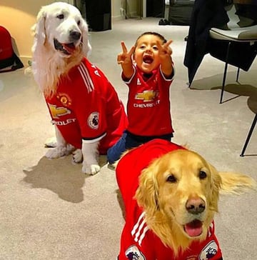 Alexis sorprendió en Instagram con la ropa de sus perros.