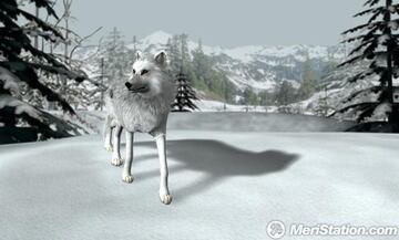 Captura de pantalla - nancy_drew_the_white_wolf_of_icicle_creek_profilelarge.jpg
