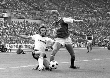 Profesional entre 1971 y 1990.