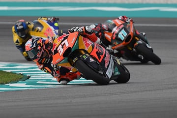 Pedro Acosta durante la carrera del Gran Premio de Malasia de Moto2 disputado en el circuito de Sepang.