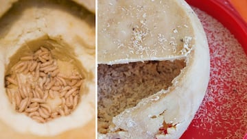 El queso prohibido que solo se vende en esta región del mundo; está infestado de larvas