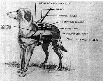 perro bomba segunda guerra mundial tanque rusia union sovietica