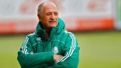 Miguel Borja tiene nuevo DT: Scolari llega a Palmeiras
