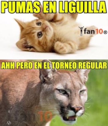 Los mejores memes de la derrota de Pumas frente a Veracruz