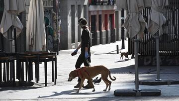 Una persona pasea a un perro en la plaza de Lavapiés, en Madrid.